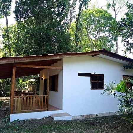 Green Papaya Villa Puerto Viejo de Talamanca Eksteriør billede