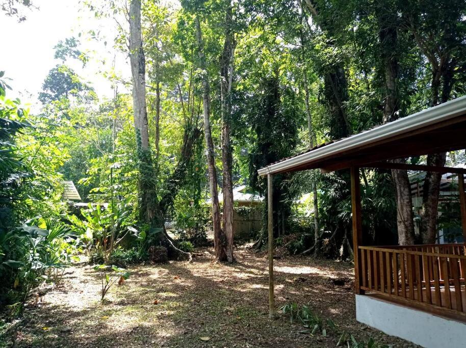 Green Papaya Villa Puerto Viejo de Talamanca Eksteriør billede