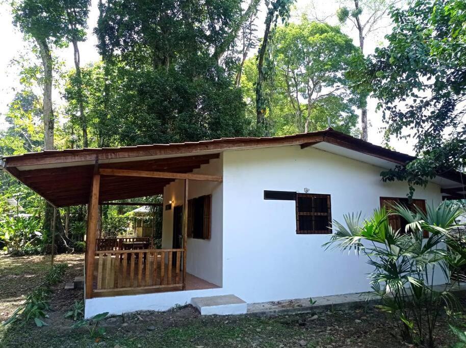 Green Papaya Villa Puerto Viejo de Talamanca Eksteriør billede