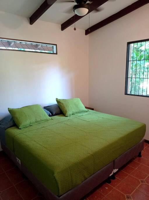 Green Papaya Villa Puerto Viejo de Talamanca Eksteriør billede